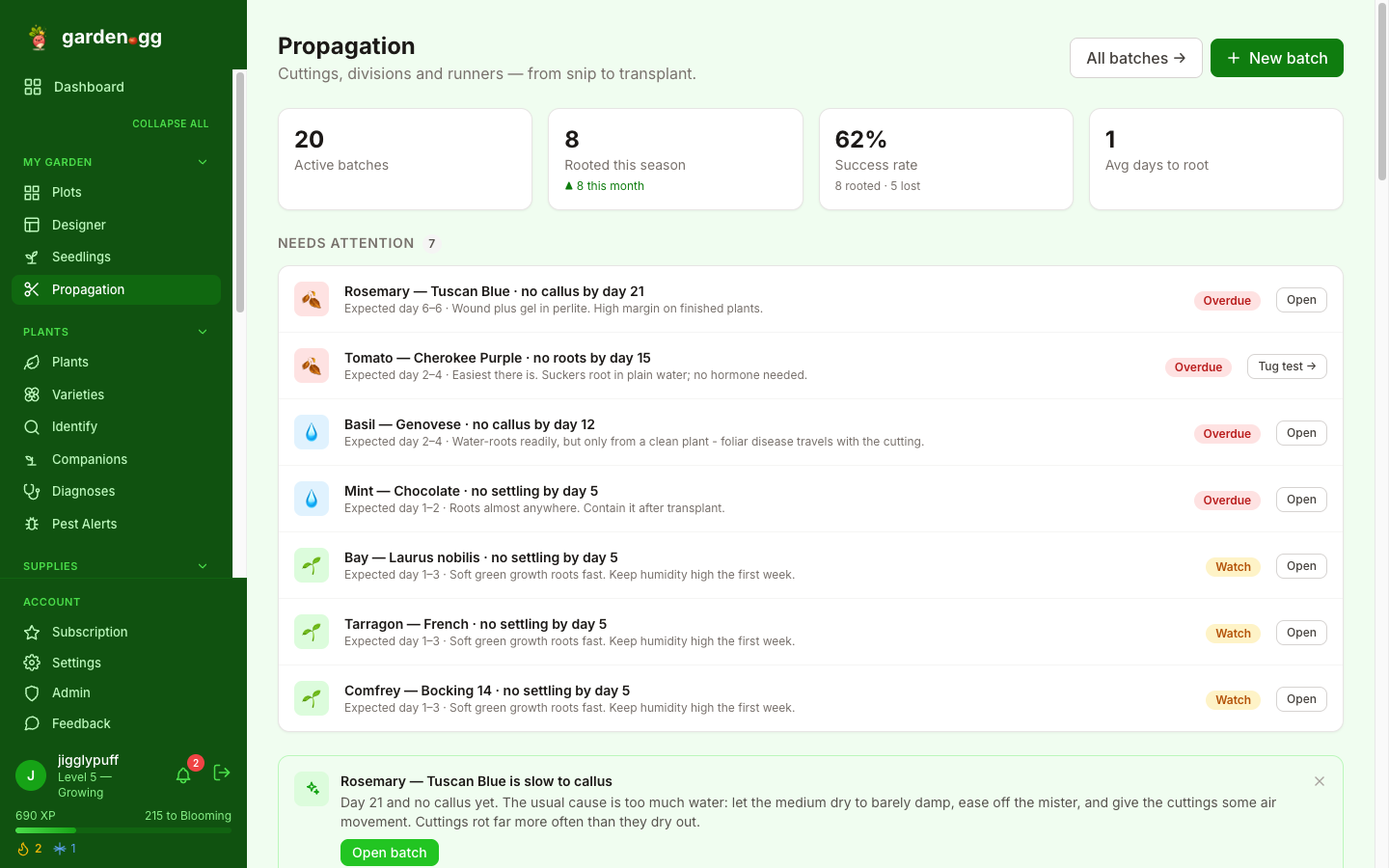 Garden.gg propagation dashboard showing 20 active batches, a 62% success rate, and a needs-attention list